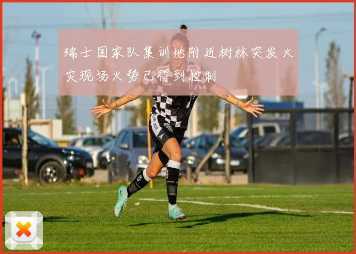 瑞士国家队集训地附近树林突发火灾现场火势已得到控制